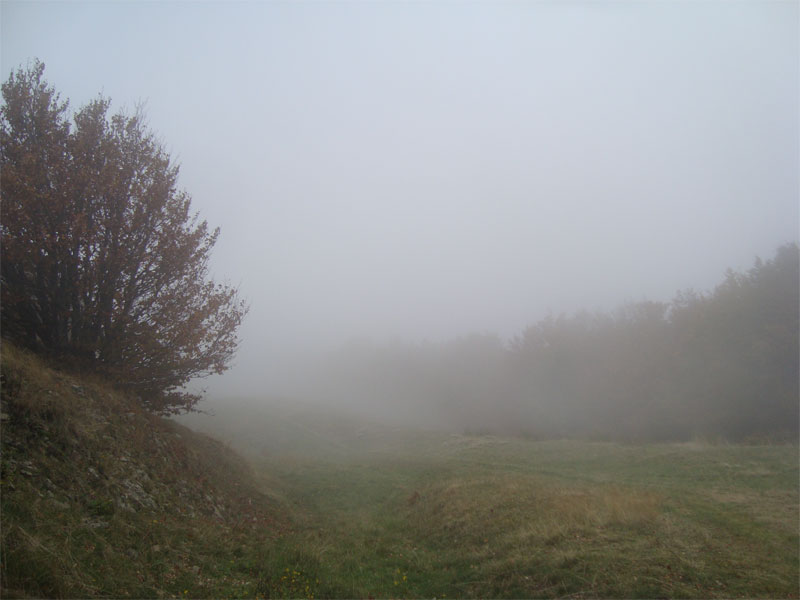 gal/2010/10 - Autunno in Casentino/nebbia_sul_monte_gabrend-01.jpg